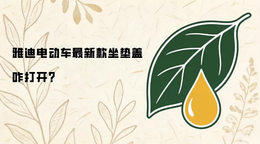 雅迪电动车最新款坐垫盖咋打开？