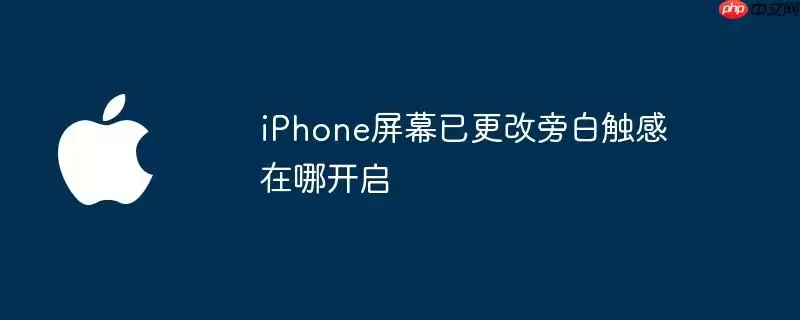 iPhone屏幕已更改旁白触感在哪开启