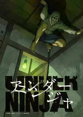动漫《地下忍者》剧情介绍