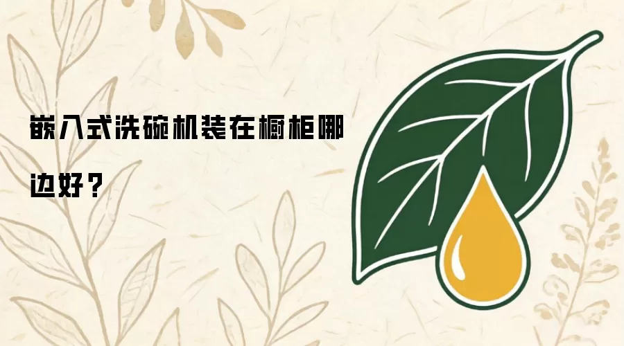 嵌入式洗碗机装在橱柜哪边好?
