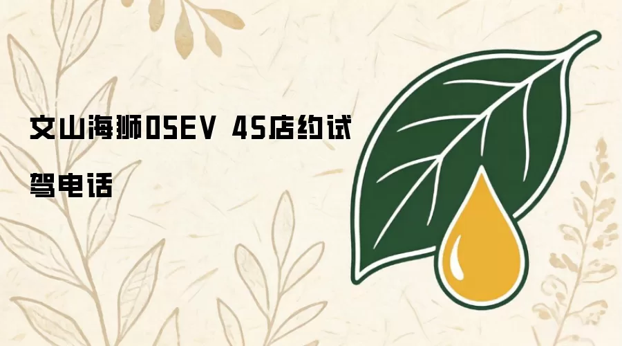 文山海狮05EV 4S店约试驾电话