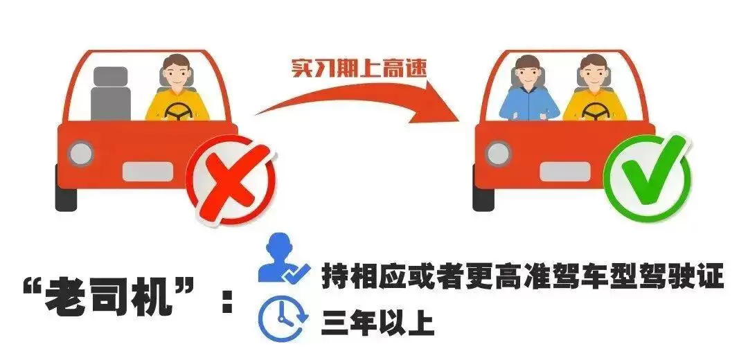 驾照刚到手别急着上路！实习期这些关键规则一定要提前了解