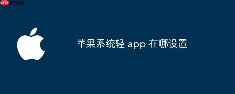 苹果系统轻 app 在哪设置