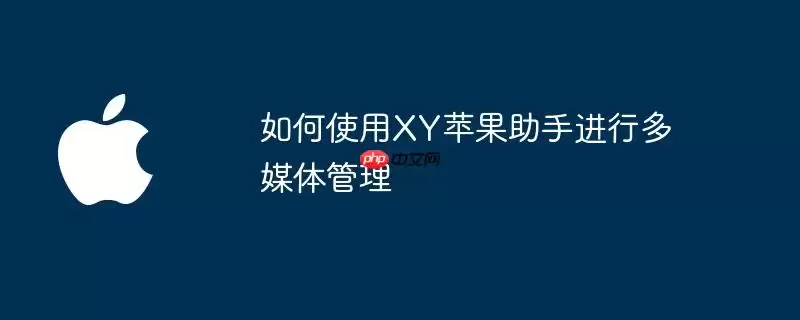 如何使用XY苹果助手进行多媒体管理