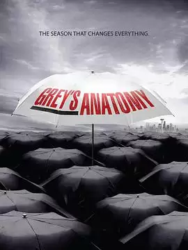 电视剧《实习医生格蕾第六季》剧情说明