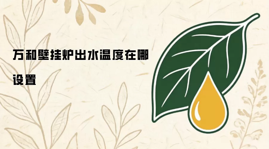 万和壁挂炉出水温度在哪设置
