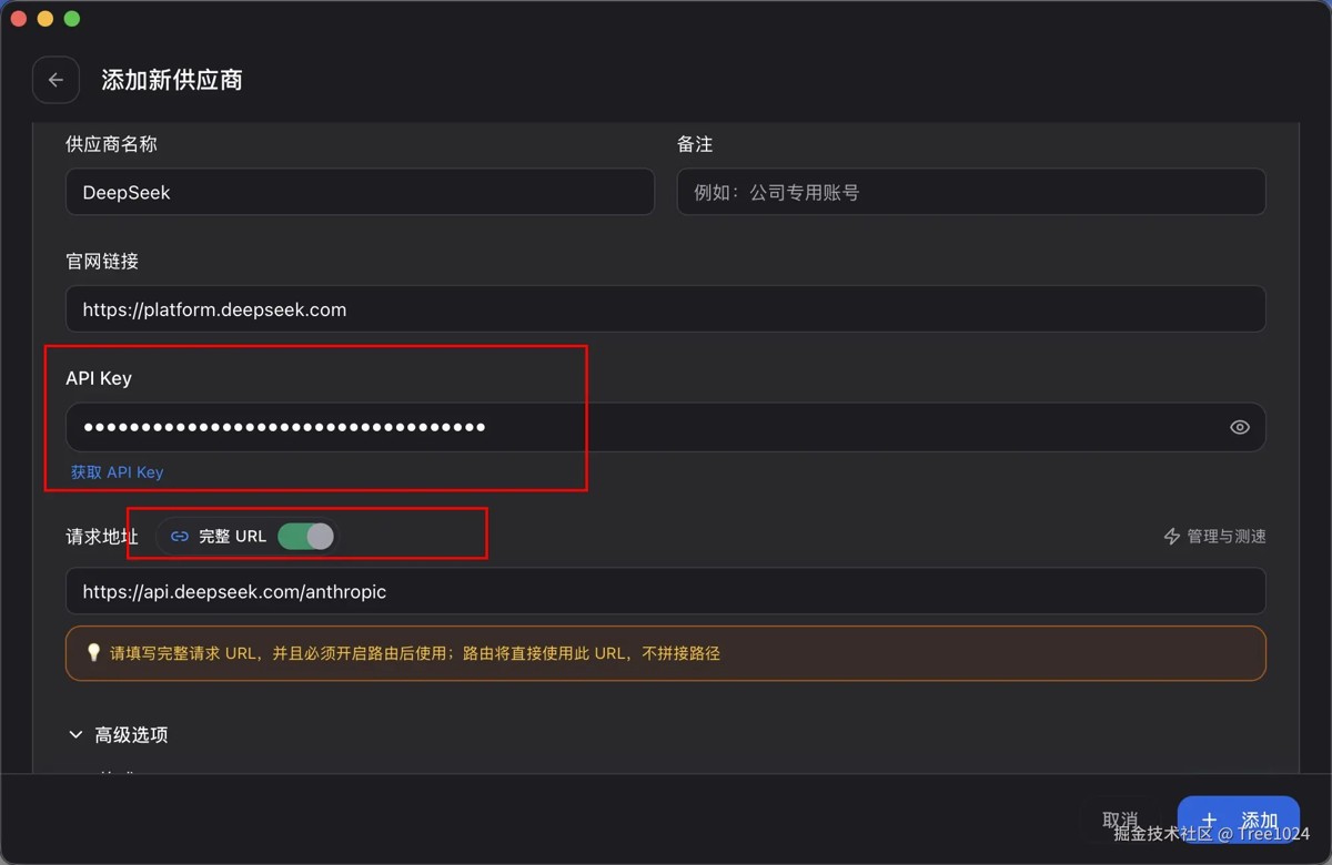 第四步:填写 API Key,并启用完整 URL
