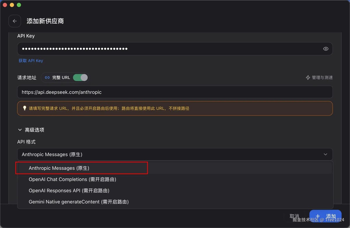 第五步:高级选项中选择 Anthropic Message(原生)