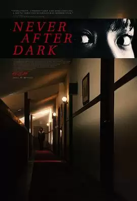 电影《入夜不再》剧情介绍