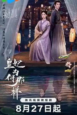 电视剧《皇妃为何那样》剧情介绍