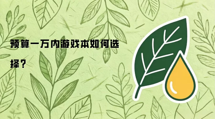 预算一万内游戏本如何选择？