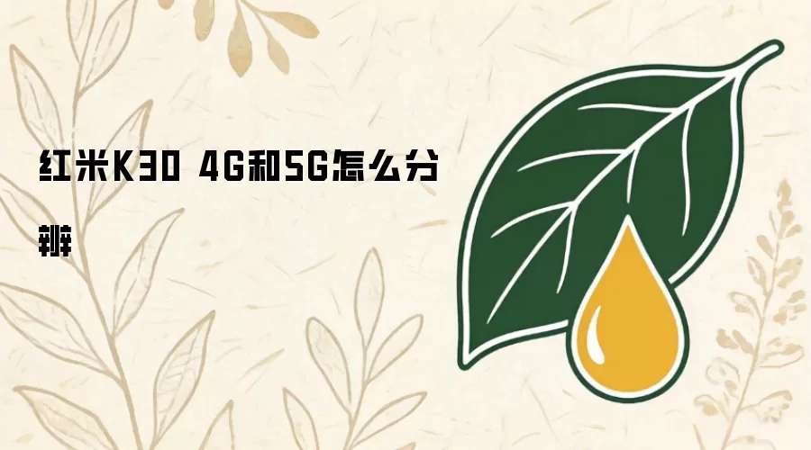红米K30 4G和5G如何分辨