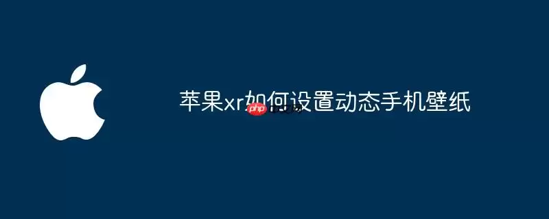 苹果xr如何设置动态手机壁纸