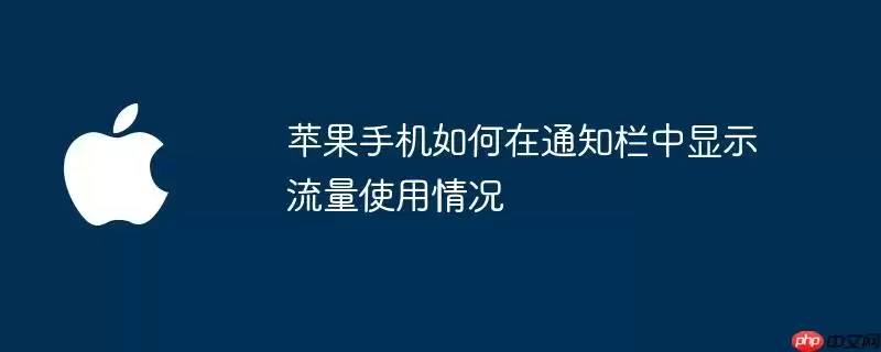 苹果手机如何在通知栏中显示流量使用情况