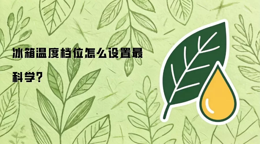 冰箱温度档位如何设置最科学？