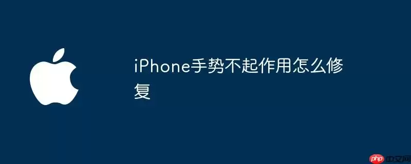 iPhone手势不起作用如何修复