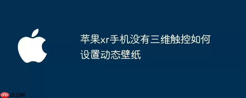 苹果xr手机没有三维触控如何设置动态壁纸