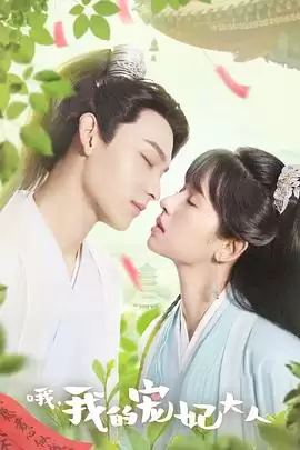 电视剧《哦，我的宠妃大人》剧情说明