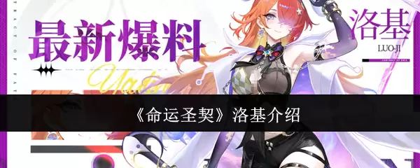 《命运圣契》洛基说明