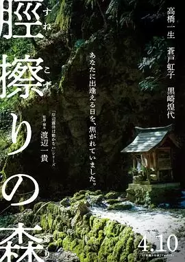 《胫擦之森》剧情讲了什么-人物关系和情节梗概