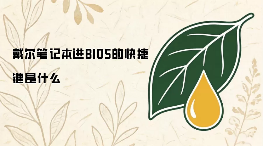 戴尔笔记本进BIOS的快捷键是什么