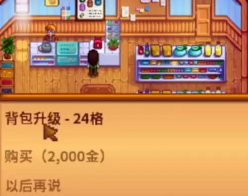 星露谷物语背包在哪里升级-背包扩大升级位置一览 星露谷物语背包在哪里升级-背包扩大升级位置一览