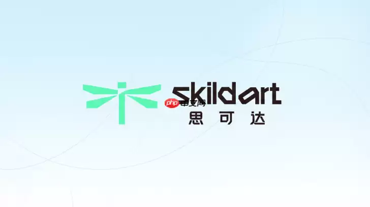 SkildArt讲了什么-主要信息和内容重点