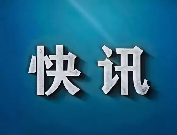 小鼻嘎一年行进距离提升近百倍有哪些重点-关键信息和实际影响