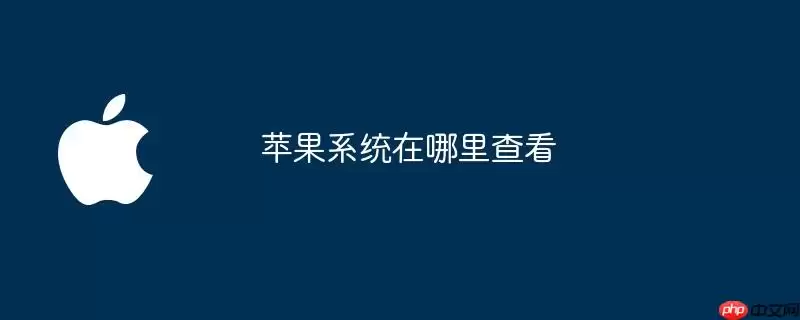 苹果系统在哪里查看