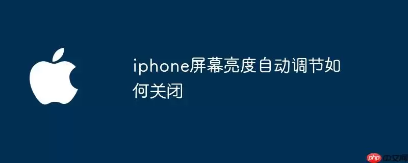iphone屏幕亮度自动调节如何关闭