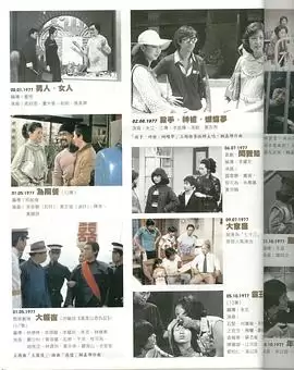 电视剧《大家庭粤语》剧情说明