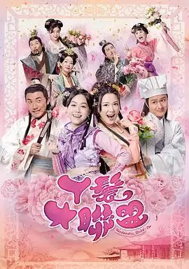 电视剧《丫鬟大联盟粤语》剧情说明