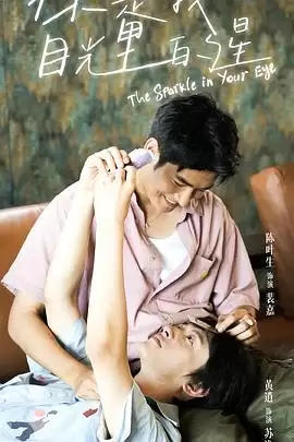 电视剧《你是我目光里的星》剧情介绍