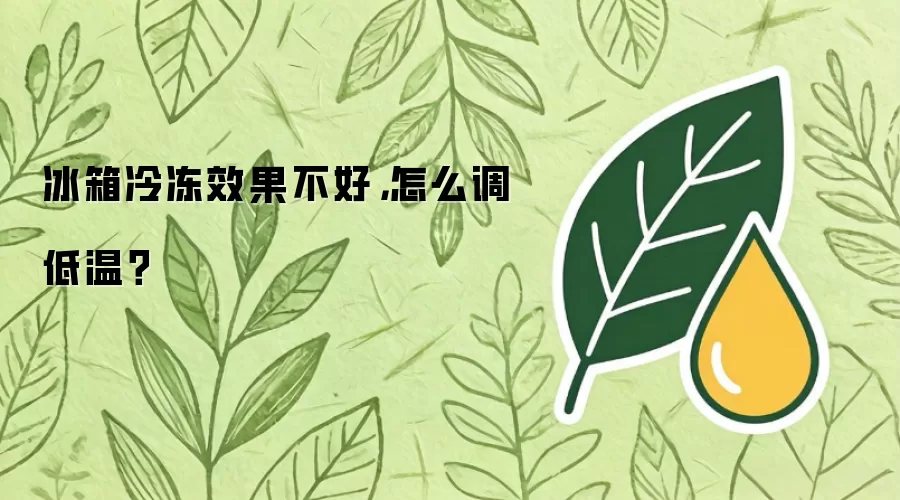 冰箱冷冻效果不好，怎么调低温怎么做-位置线索