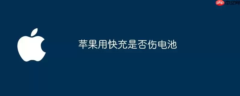 苹果用快充是否伤电池