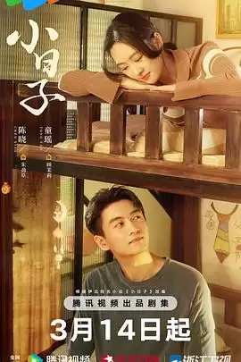 电视剧《小日子2026》剧情说明