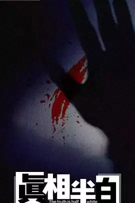 电视剧《真相半白》剧情说明