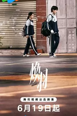 电视剧《焕羽》剧情说明