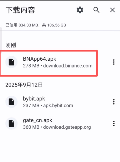 安卓下载记录中的 Binance APK 文件名和来源域名