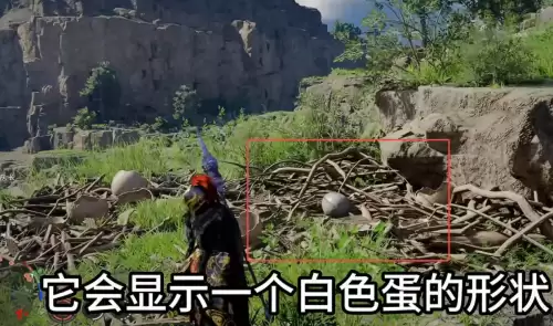 红色沙漠嘟嘟鸟蛋四个分布点位一览 红色沙漠嘟嘟鸟蛋四个分布点位一览