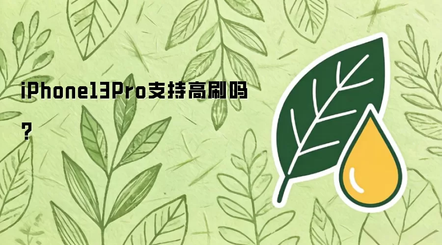 iPhone13Pro支持高刷吗？