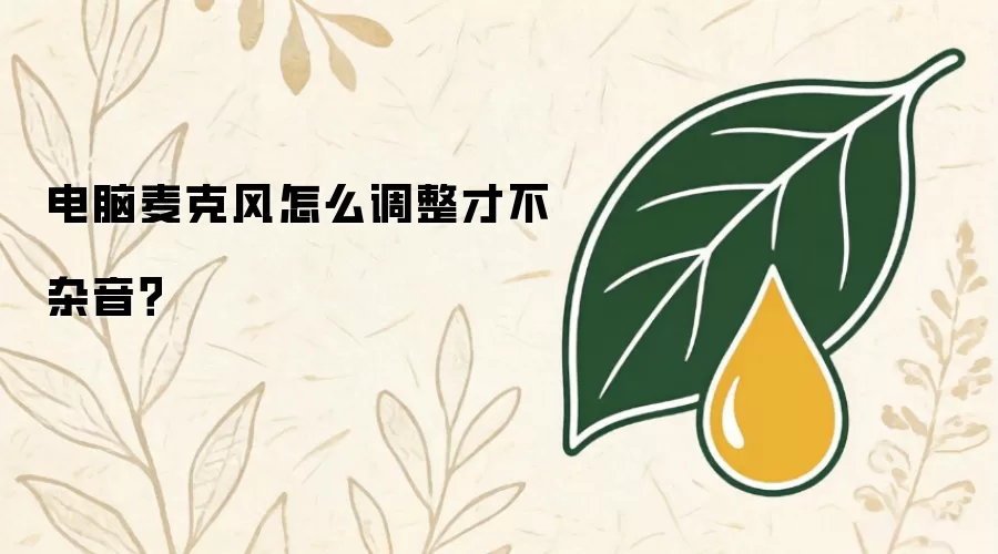电脑麦克风如何调整才不杂音？