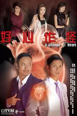 电视剧《好心作怪2013国语》剧情说明
