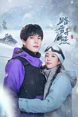 电视剧《踏雪寻熊》剧情说明