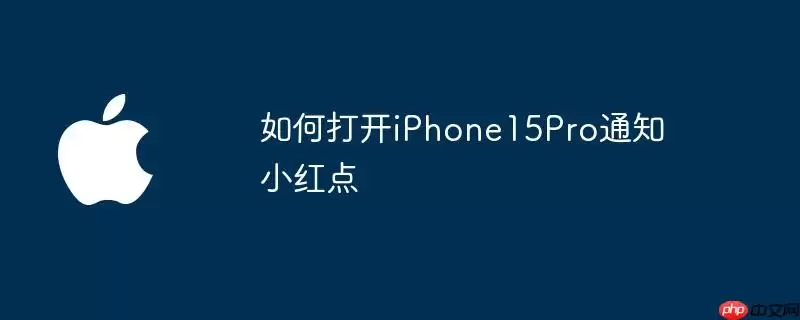 如何打开iPhone15Pro通知小红点