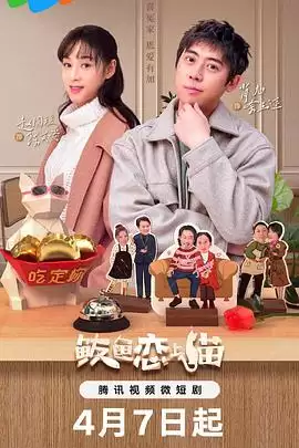 电视剧《鲅鱼恋上猫》剧情说明