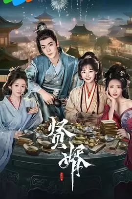 电视剧《贤婿》剧情说明