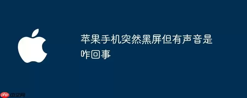 苹果手机突然黑屏但有声音是咋回事