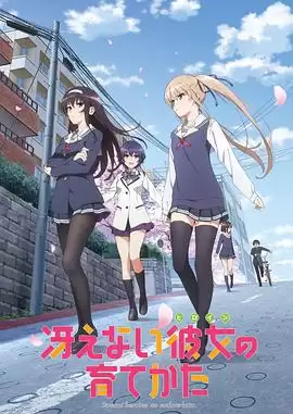 动漫《路人女主的养成方法♭》剧情介绍
