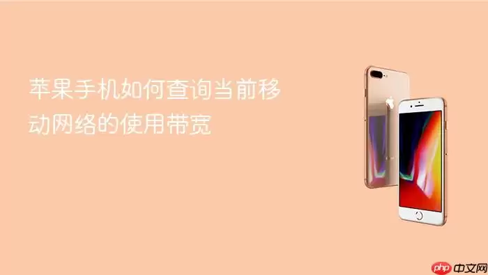 苹果手机当前移动网络的使用带宽怎么查看-查看入口和判断方法